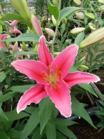 [5353 Night Fever DJ No02.JPG]